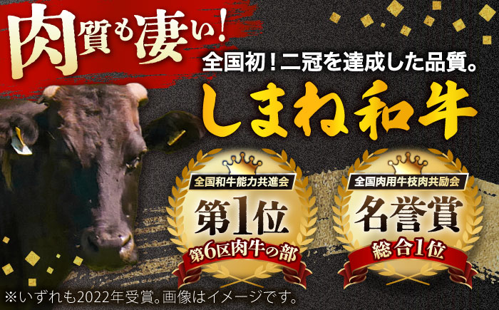 しまね和牛 ヒレステーキ500g 和牛 牛肉 国産 国産牛 赤身 ステーキ ヒレ 人気 黒毛和牛 ギフト 島根県雲南市/株式会社O.R.C [AIEF023]