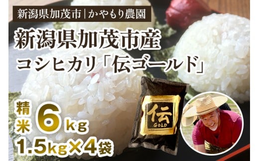 【令和7年産新米】新潟産コシヒカリ「伝ゴールド」白米真空パック 精米6kg（1.5kg×4）《9月下旬から順次出荷》 南麻布の高級料亭で提供される極上米 かやもり農園