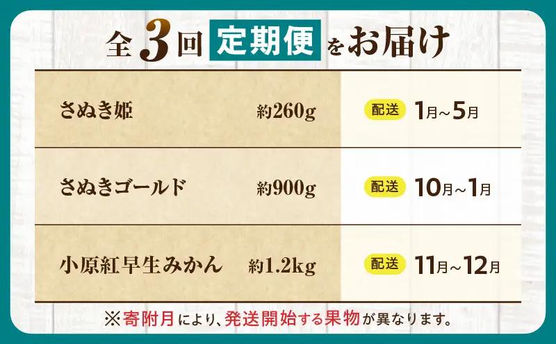 とれたて果物 3回定期便C |果物 フルーツ 果物定期便 フルーツ定期便 定期便 いちご キウイみかん 濃厚 旬の果物 定期 人気 おすすめ 贈答 贈り物 青果物 糖度 香川県 |_mk165-t06