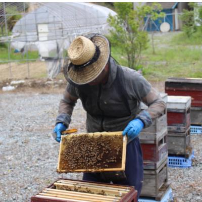 ふるさと納税 三春町 三春町産　力男のはちみつ【小瓶詰め合わせ】 |  | 02