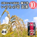 【ふるさと納税】【令和6年産】【石岡セレクト認証品】獅子米 いのちの壱 玄米 10kg コンテスト受賞米 お米 米 おこめ ブランド米 10キロ 国産 コメ こめ ご飯 茨城県産 茨城 産直 産地直送 農家直送 ごはん 家庭用 贈答用 お取り寄せ 茨城県 石岡市 送料無料 (G436)