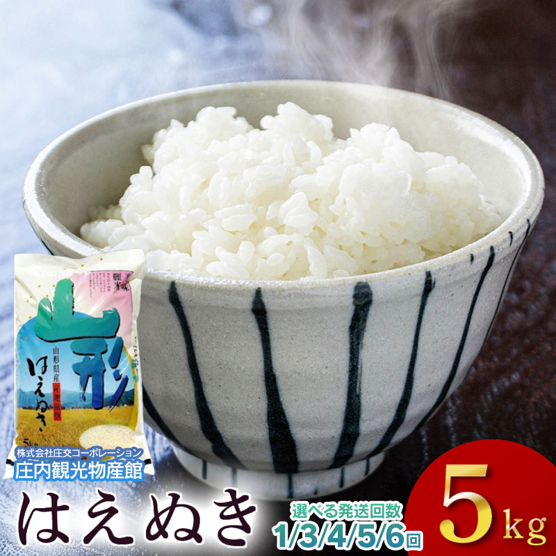 【ふるさと納税】【選べる定期便】令和7年産山形県産 はえぬき 精米5kg（1回・3〜6ヶ月）　庄内観光物産館