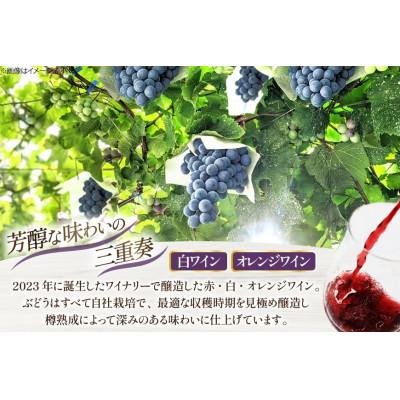 ふるさと納税 韮崎市 【樽熟成ワイン】白ワイン オレンジワイン 各750ml×1本(計2本) |  | 01