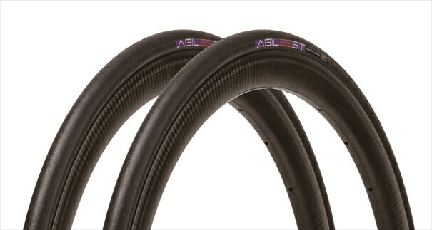 【ふるさと納税】AGILEST アジリスト 700×25C ロードバイク レーシングタイヤ 2本セット パナレーサー 自転車 タイヤ 高性能 軽量 ロードレース サイクリング スポーツ 兵庫県 丹波市