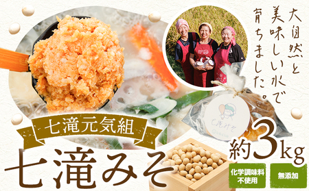  味噌 七滝みそ 約3kg 七滝元気組 