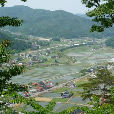 ふるさと納税 安芸高田市 旬の野菜【L】セット[No5895-0458] |  | 03