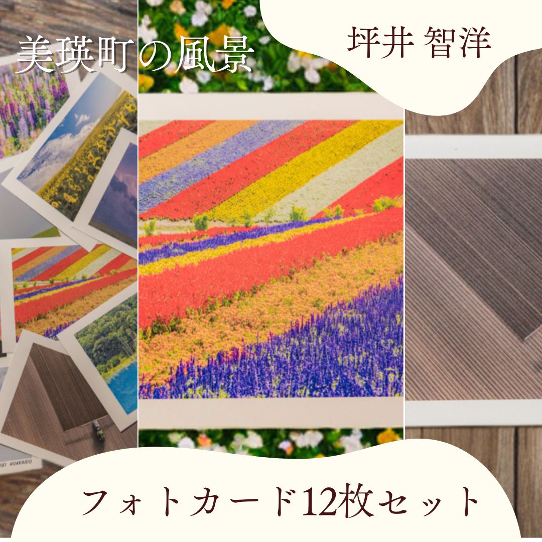 【ふるさと納税】フォトカード 写真家 坪井 智洋 美瑛の風景 フォトカード 12枚セット | 美瑛 北海道 写真 雑貨 [006-21]