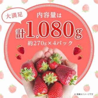 【数量限定】福岡県産 春採れあまおう 約270g×4パック【配送不可地域：離島】