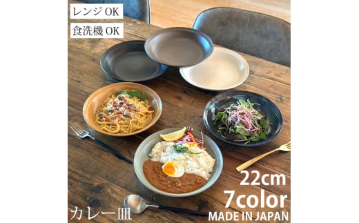 【美濃焼】 カレー皿 22cm / プレート 深皿 1枚 黒マット / 窯元ロングアイランド [AZCU169]