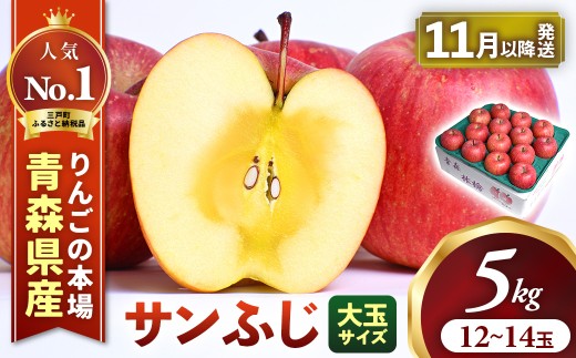 りんご【サンふじ】約5kg（12～14玉・大玉サイズ）【2026年産・先行予約】★2026年11月下旬～12月上旬頃発送予定★ 青森県三戸町産 アップル 林檎 フルーツ 果物 果実 青森県産 三戸 贈答 ギフト プレゼント 産地直送 農家直送 送料無料  青森県三戸町 AK-25-076