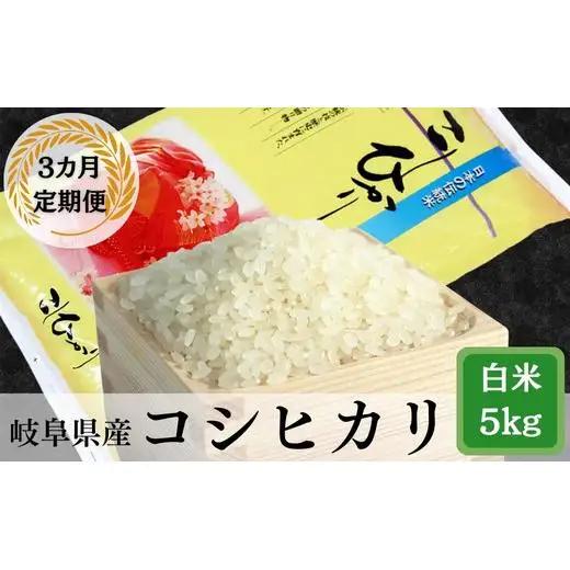 ≪令和7年産≫ 【3か月定期便】岐阜 コシヒカリ （約5kg×3回）