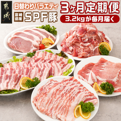 ≪3回連続お届け≫「宮崎SPF豚」日替わりバラエティセット定期便_T48-3-K901