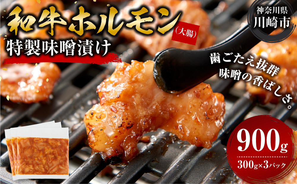 ＜訳アリ＞和牛ホルモン（大腸）　特製味噌漬け　0.9kg(300g×3）【12月発送】【kw0096-0031-12】