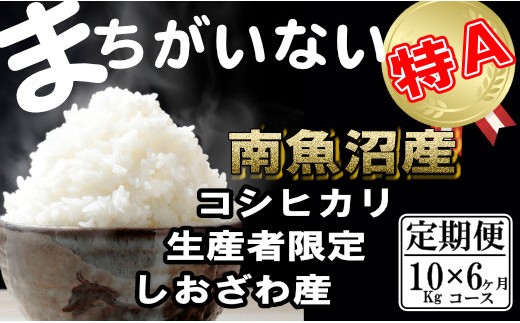 
                  【令和8年産　新米予約】【定期便】生産者限定 契約栽培　南魚沼しおざわ産コシヒカリ（10Kg×6ヶ月）【定期便 銘柄米 ブランド米 精米 こしひかり コシヒカリ 魚沼産 新潟米 産地直送 お米 米 】【2026年10月上旬より1ヶ月以内に順次発送予定】
                