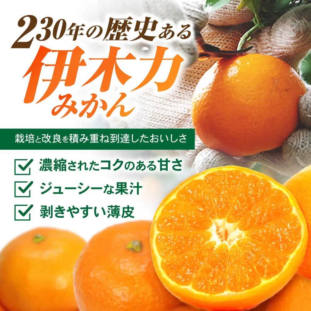 ※【2026年11月下旬より順次発送／先行予約】伊木力みかん「はなまるみかん」(贈答用) 5kg / 伊木力みかん みかん 蜜柑 ミカン 柑橘 果物 フルーツ / 諫早市 / 株式会社山野果樹園 [A
