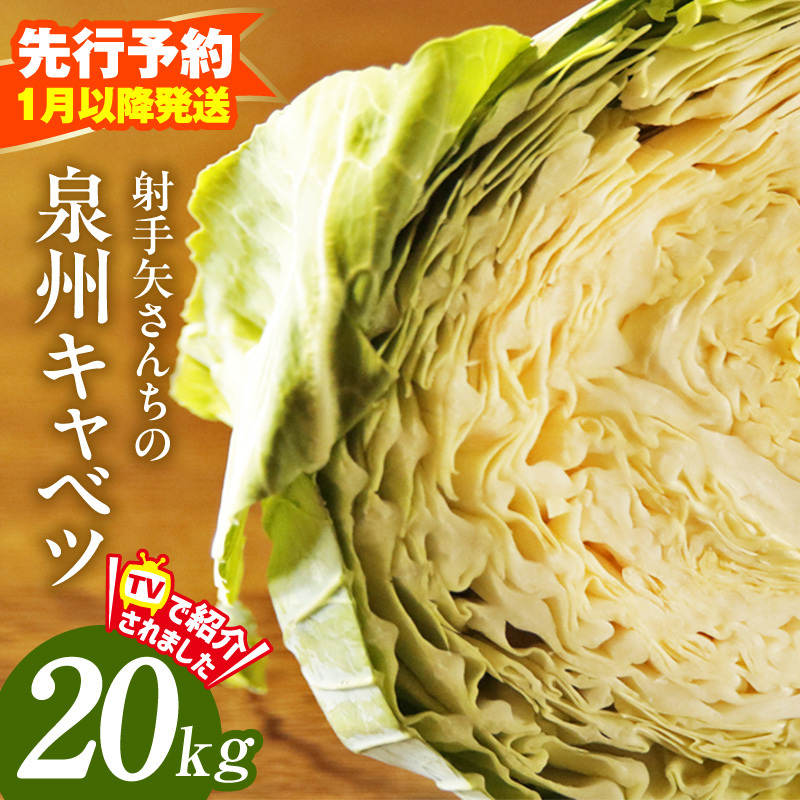 【先行予約】泉州キャベツ 20kg【新鮮 野菜 泉佐野産 やさい 射手矢農園 高評価 数量限定】 ity0040
