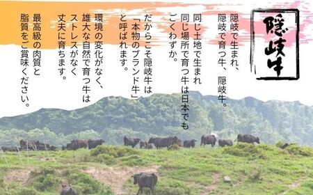 数量限定 隠岐牛 牛すじボイル 400g×2パック 牛すじ