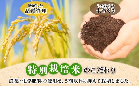 ななつぼしお米特別栽培無洗米 北海道産 ななつぼし【10kg】【定期便3ヵ月】