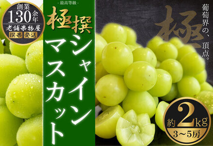 極撰！シャインマスカット　約2kg（3～5房）