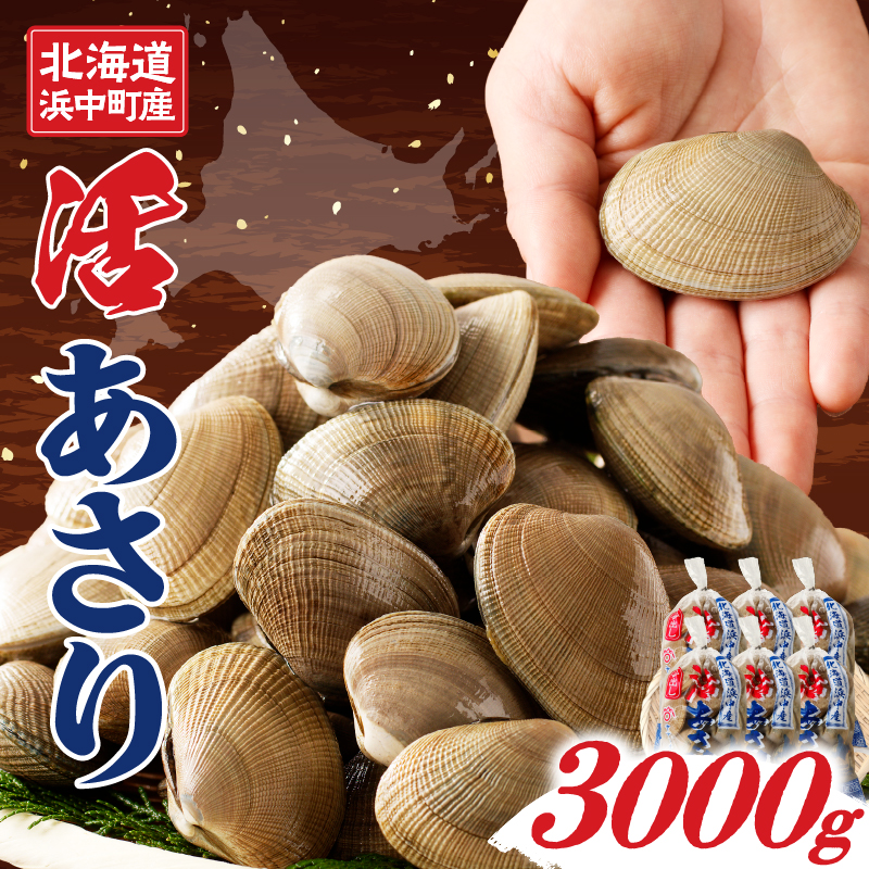 1月～3月発送分《先行予約・期間限定》浜中町産活あさり(500g×6袋セット)_230205-01