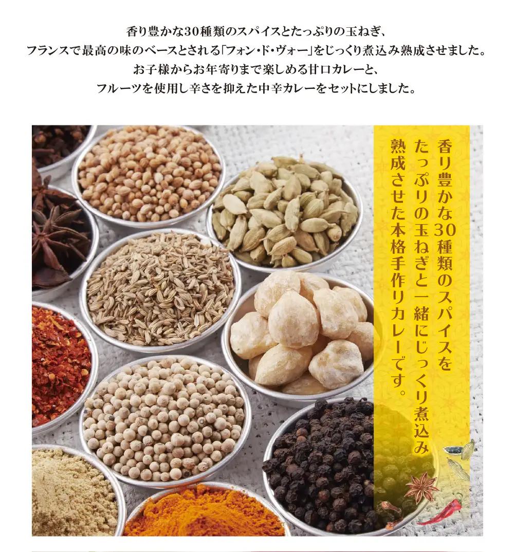 Z27-04 みろくのカレー20食（甘口10食・中辛10食） カレー