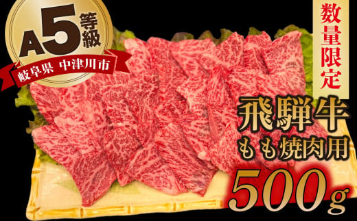 
【数量限定！チルド（冷蔵）発送！】「飛騨牛」A5等級もも 500g 鉄板焼き 網焼き 焼肉 バーベキュー BBQ 20-008
