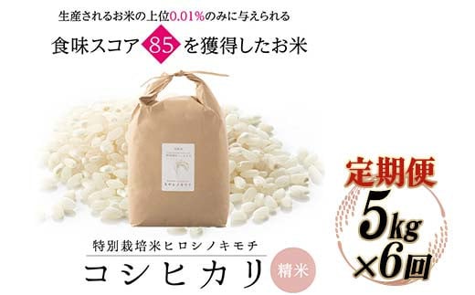 【6回定期】特別栽培米 コシヒカリ ヒロシノキモチ 精米 5kg 総計30kg ブランド米 銘柄米 国産 米 お米 日本米 ギフト 贈り物 備蓄 防災 食品 陽咲玲 はるざれ F6T-925