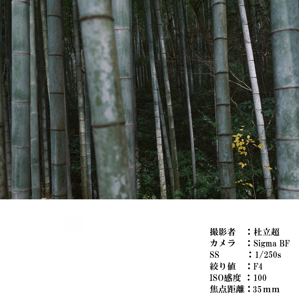 SIGMA 35mm F1.4 Ⅱ| Art【ソニーEマウント】カメラ　レンズ　家電