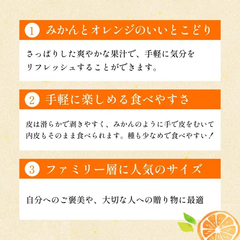 【先行予約】宗方印 はれひめ（家庭用）約2kg