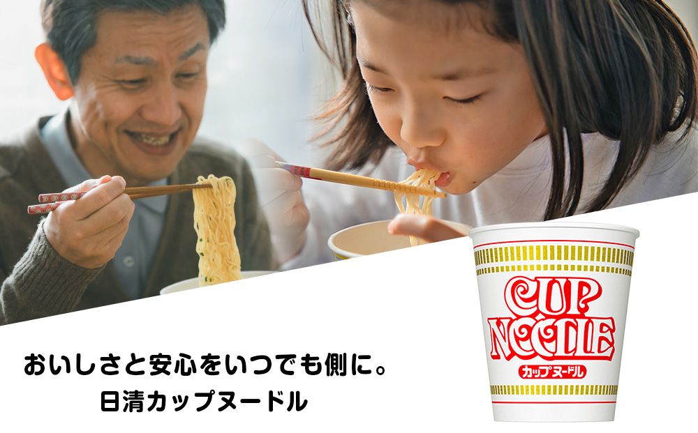 【定期便6か月】日清 カップヌードル10食