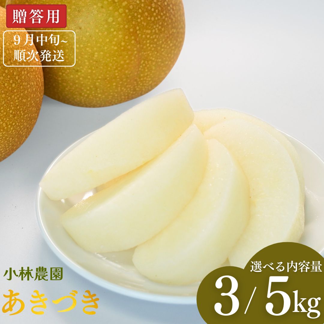 【ふるさと納税】先行予約 和梨 あきづき 約3kg・約5kg [9月中旬から発送予定] 令和7年度 選べる内容量 新潟県三条市産 梨 [小林農園]【012P045】