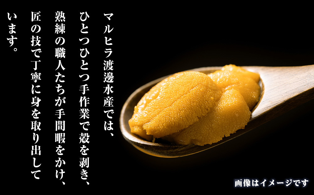 2025年 発送予約 ウニ本来の味が楽しめる【白老産】塩水ムラサキウニ 100g×3パック BT009_イメージ4