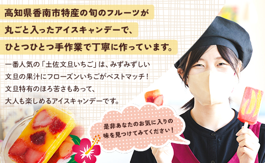 【7日程度で発送】アイスキャンデー 12本入り