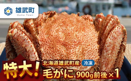 
                  オホーツク産 オホーツク 毛がに 毛ガニ 毛蟹 蟹 カニ 900g 1尾 かに かにみそ カニみそ かに味噌 濃厚 北海道オホーツク産 海産物 海産 海鮮 魚介 魚貝 魚介類 冷凍 ふるさと納税 北海道 雄武町 雄武【12014AA0101】
                