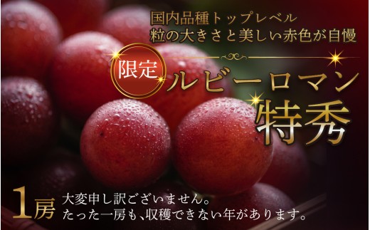 【先行予約】【2027年収穫分】  ルビーロマン 特秀 （1箱）700g以上【2027年8月以降順次発送予定】 ｜希少 貴重 数量限定  ぶどう ブドウ 葡萄 種なし ジューシー 甘い 大粒 大きい  宝石 るびー ギフト かほく市 能登 入口