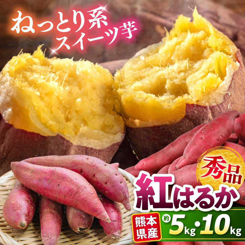【ふるさと納税】《選べる容量！》紅はるか 秀品 約5kg・約10kg S〜2Lサイズ混合 ねっとり 甘い 芋 いも サツマイモ さつま芋 べにはるか 甘藷 唐芋 完熟 熟成 焼芋 焼き芋 焼きいも やきいも スイーツ 熊本県 合志市 送料無料【株式会社 Foody’s】[AYAT004]