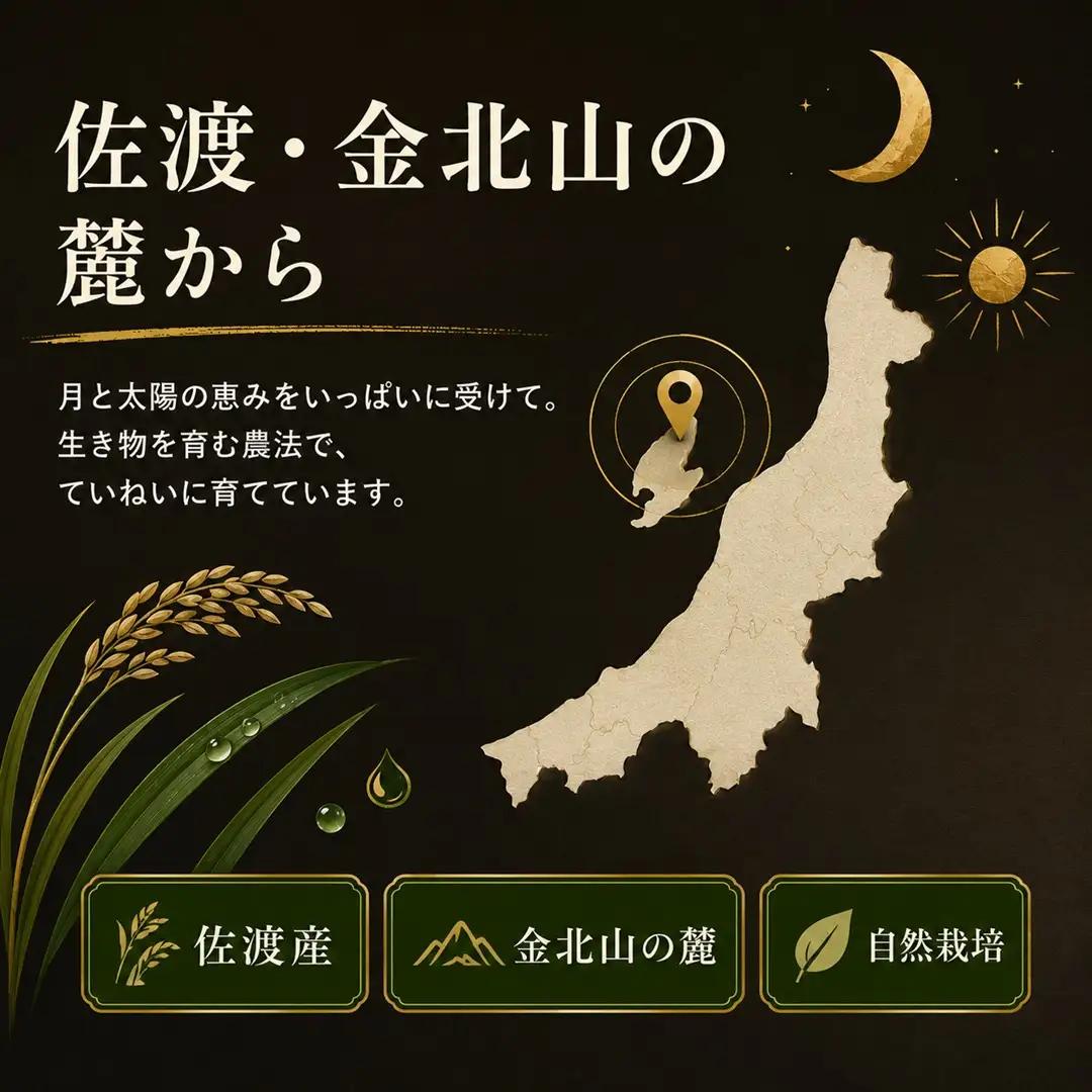 コシヒカリ 自然栽培米 5kg 精米 | 新潟県 佐渡市 コシヒカリ