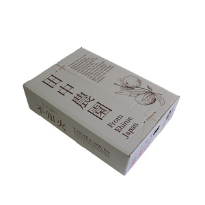【2027年1月上旬から順次発送】伊予柑 いよかん 約10kg 秀品 柑橘類 先行予約 贈答用 ギフト フルーツ 柑橘類 先行予約 果物 フルーツ みかん イヨカン 宮内伊予柑 人気 おすすめ 愛媛 