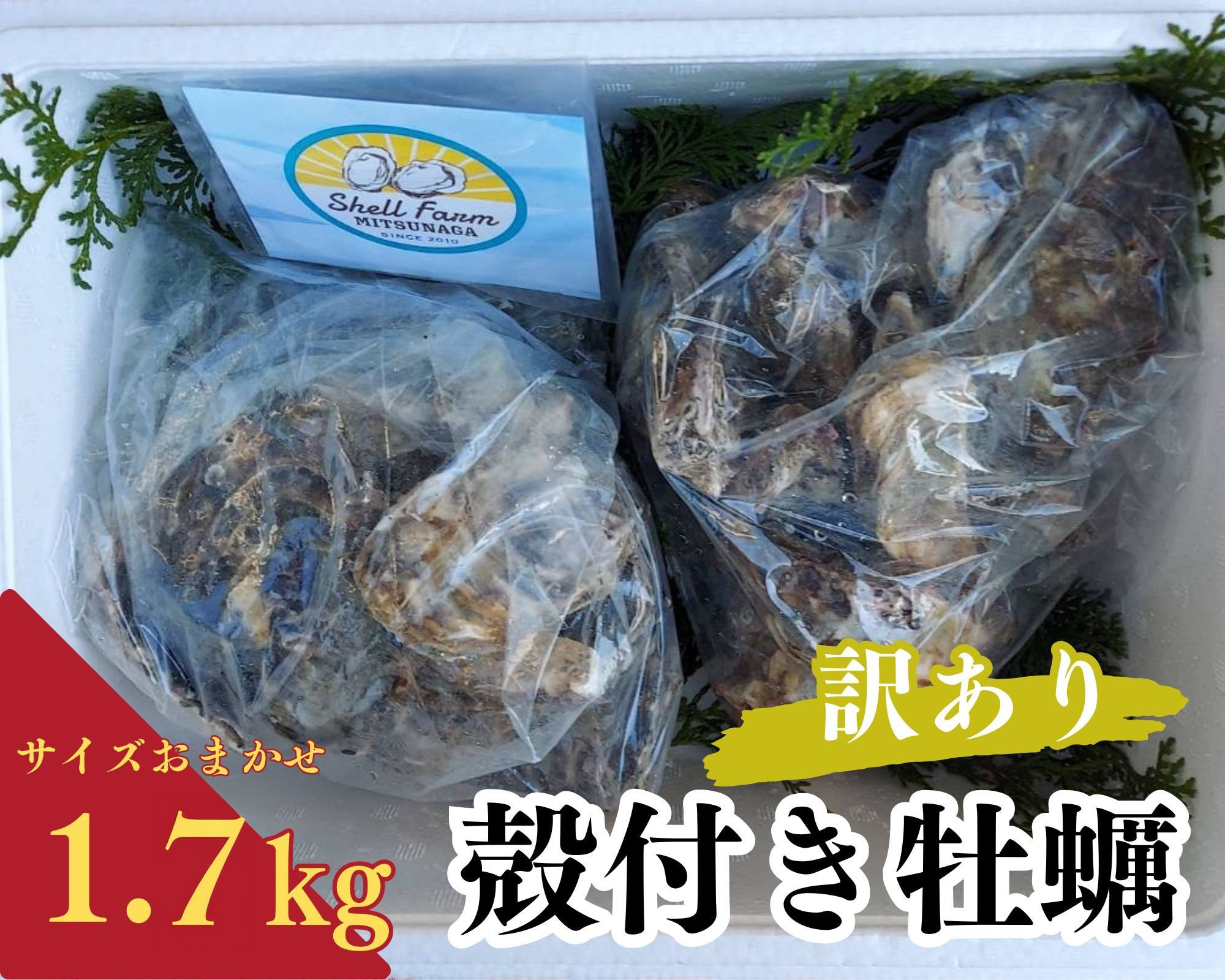 （冷蔵） 訳あり牡蠣 1.7kg ワケアリコース 加熱用 濃厚 新鮮 シェルファームみつなが セル牡蠣 真牡蠣 まがき カキ 鍋 牡蠣鍋 カキフライ 殻付き BBQ わけあり 訳アリ 養殖 伊勢志摩 三重 南伊勢町