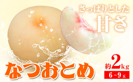 桃 なつおとめ 2kg　白桃