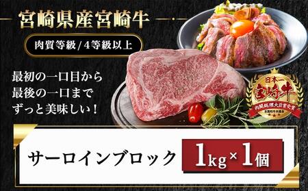 【☆クリスマス☆】宮崎牛サーロインブロック(1kg)≪12月20日～23日お届け≫_38-N401-OJX_(都城市) 宮崎県産 宮崎牛 サーロイン ステーキ 焼肉 BBQ 4等級以上 サシ  ブロッ