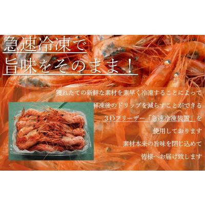 ふるさと納税 苫前町 【急速冷凍】北海道苫前産シマエビ　500g×2《数量限定》(えび・海老・北海道・小分け・生) |  | 03