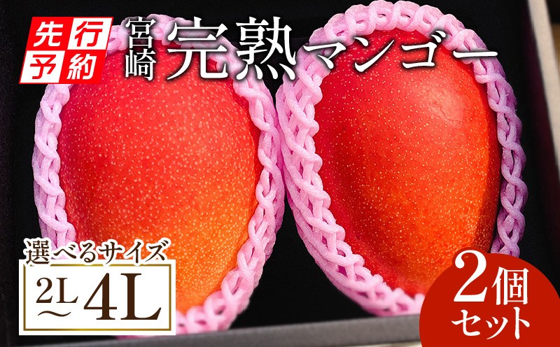 
            《2026年発送先行予約》【選べる大きさ】【期間・数量限定】宮崎完熟マンゴー2玉_M126-014-SKU
          