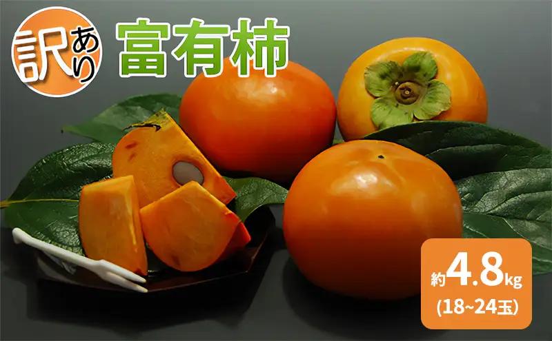 【訳あり】 柿 富有柿 約4.8kg 18～24玉 果物 フルーツ 柿