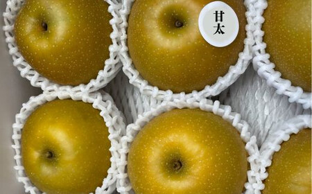 No.3060 宍戸果樹園　旬の特選梨（甘太3kg）【2026年発送】