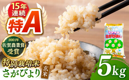 【特別栽培米】令和7年産 さがびより玄米5kg 【ももさき農産】 [HCG004]