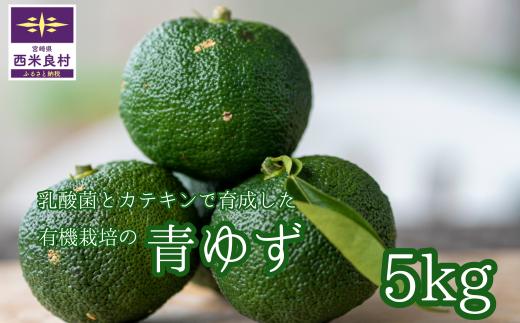
            乳酸菌とカテキンで育成した有機栽培の青ゆず5キロ※8月下旬より発送開始
          