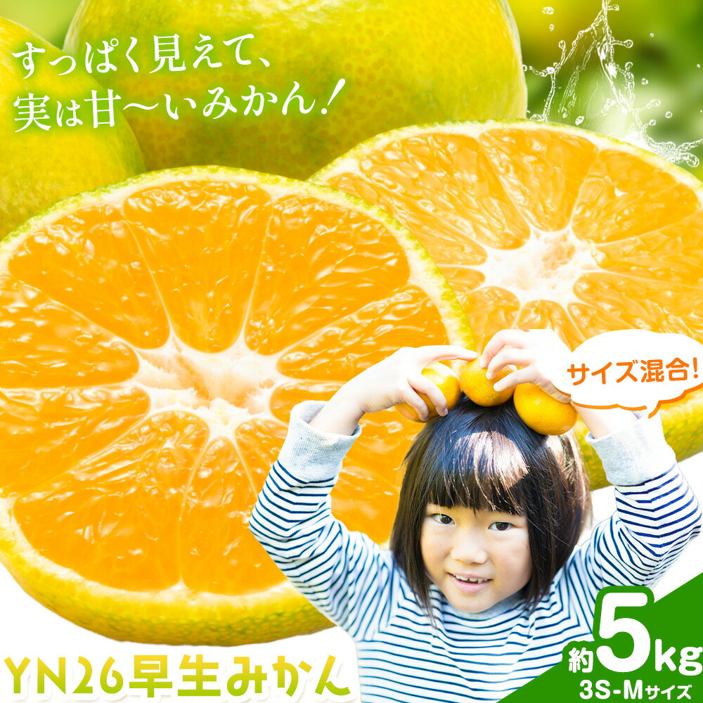 【ふるさと納税】みかん 早生みかん YN26 早生 みかん サイズ混合 約5kg 3S-Mサイズ どの坂果樹園《2026年9月上旬-9月下旬頃出荷》和歌山県 日高川町 産地直送 不揃い 柑橘類 みかん 旬 フルーツ 果物 柑橘 送料無料