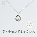 【ふるさと納税】PT900　ダイヤモンド　ネックレス　0.20ct　17366A　Pt　DIA　PN レディース ファッション ギフト プレゼント 誕生日 記念日 お祝い おしゃれ 大人 ジュエリーケース付 アクセサリー ジュエリー