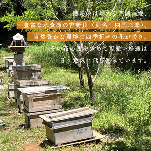 天然はちみつ「百花蜜」600g 蜂蜜 ハチミツ